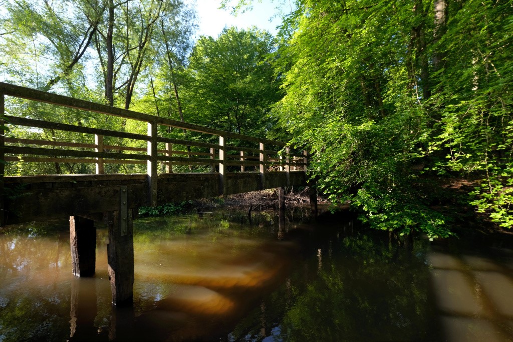 Eine Holzbrücke führt über einen schmalen Fluss, am anderen Ufer stehen Bäume.